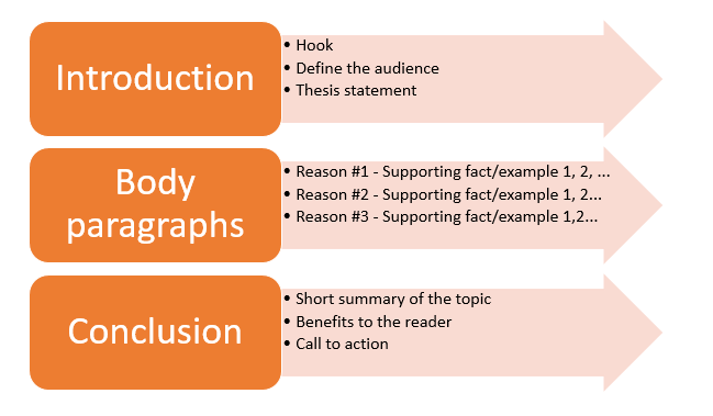 Main parts of an essay 
